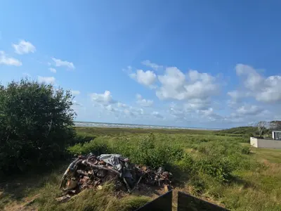 Smakprov från kategorin Natur
